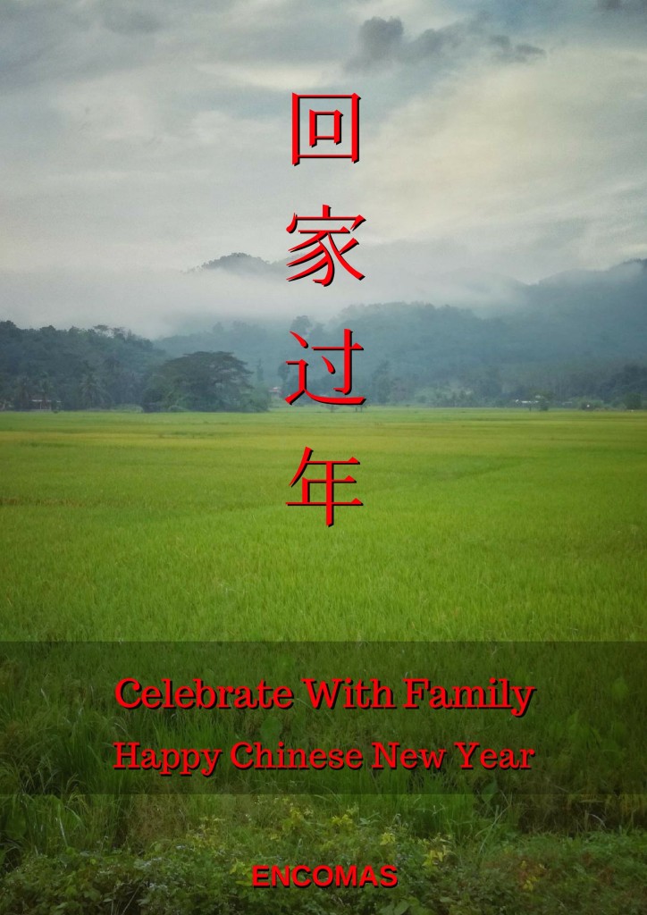 Happy Chinese New Year, 新年快樂